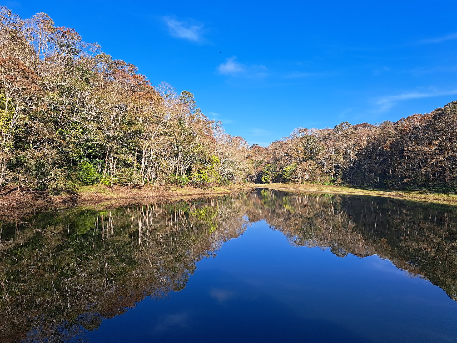 Thekkady Wildlife Retreat