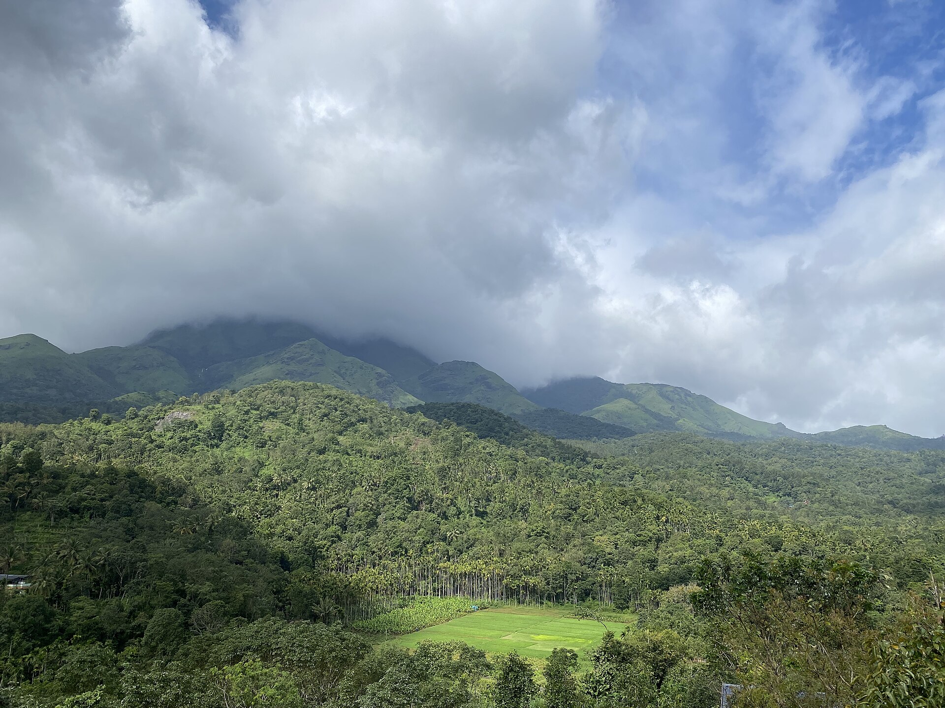 Wayanad Nature Journey