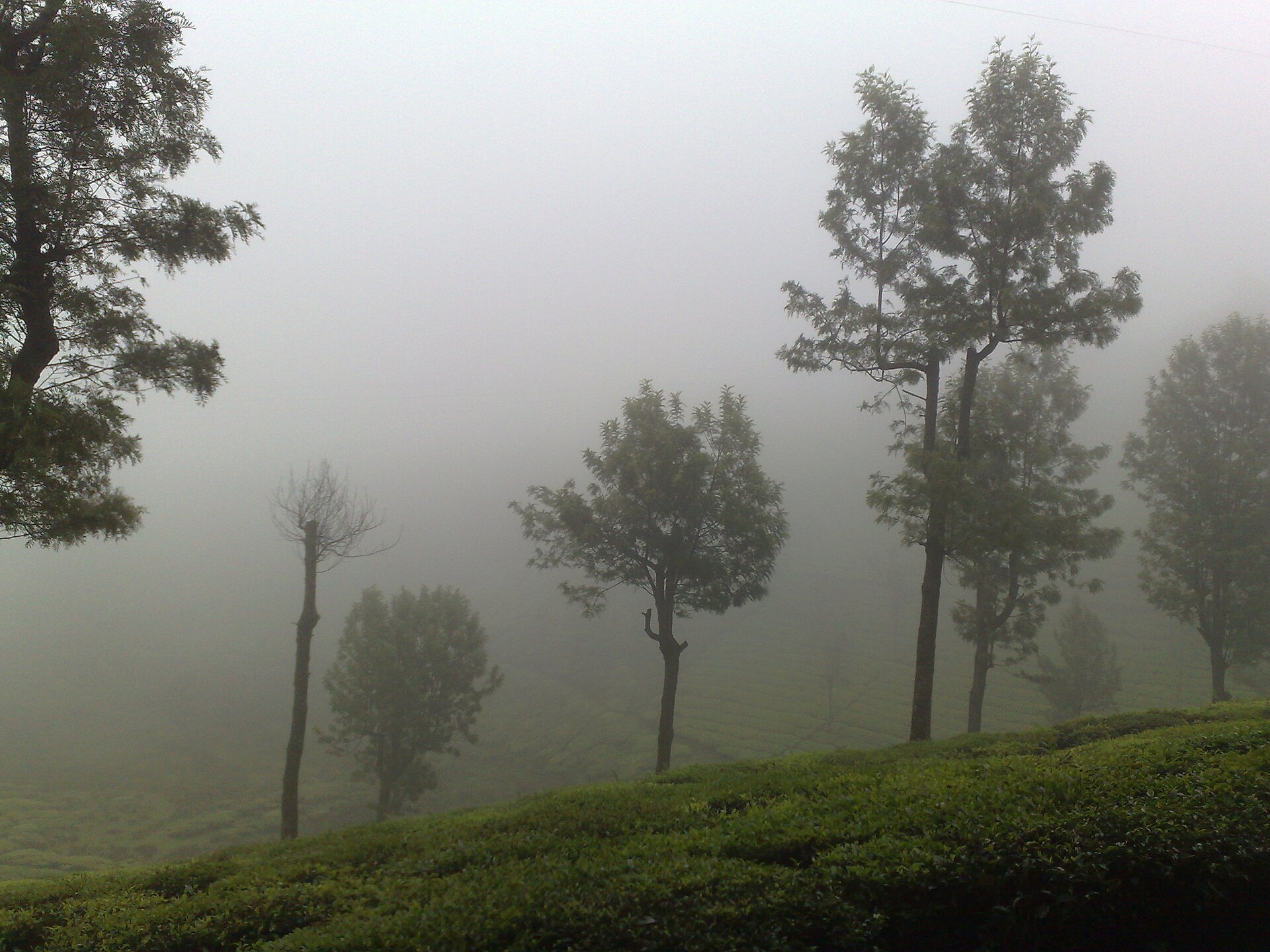 Ooty Hills